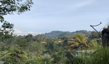 Land with house