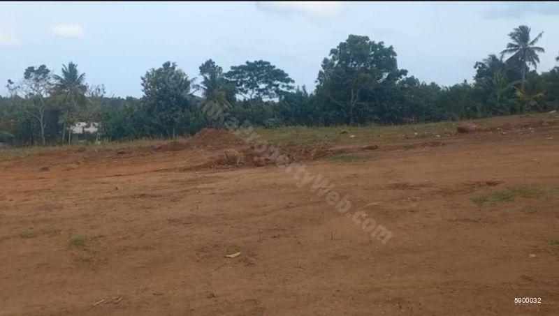 Bare Land for sale in Tangalle