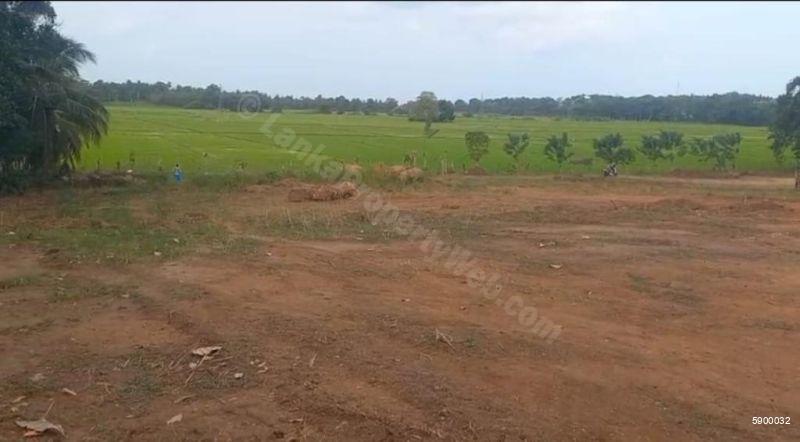 Bare Land for sale in Tangalle