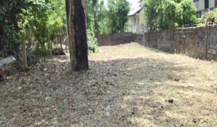 Bare Land