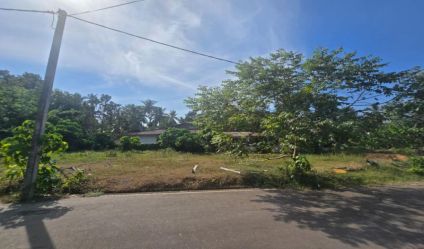 Bare Land