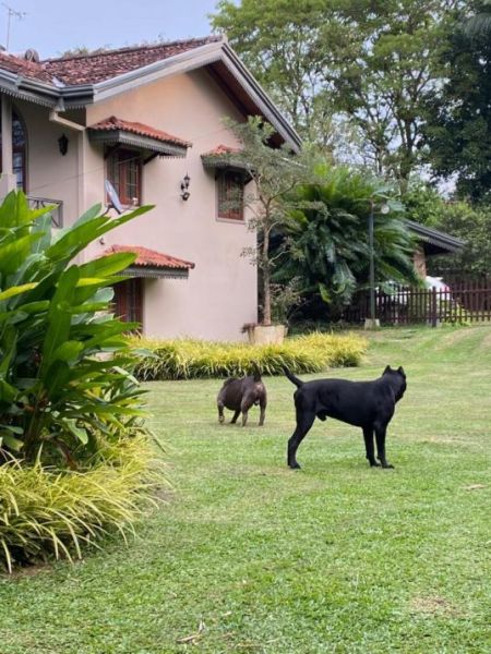 Exterior - 5 BR Villa For Sale in Pannipitiya - PDC68