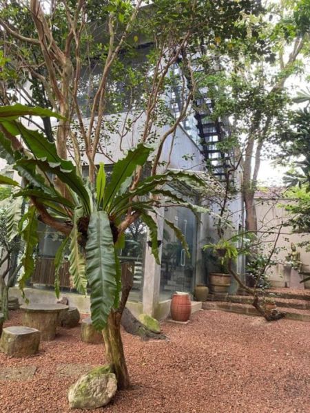 Exterior - 5 BR Villa For Sale in Pannipitiya - PDC68