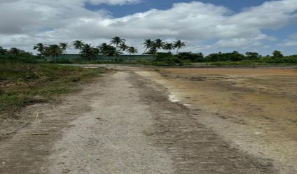 Bare Land