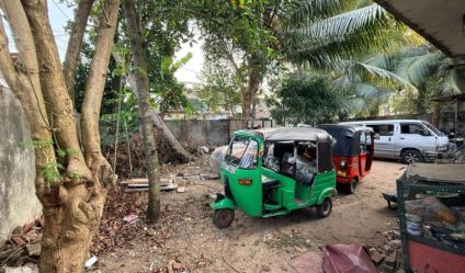 Coconut land