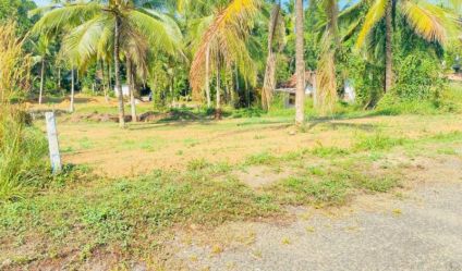 Bare Land