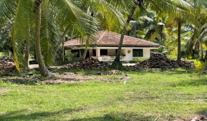 Coconut land