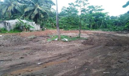 Bare Land
