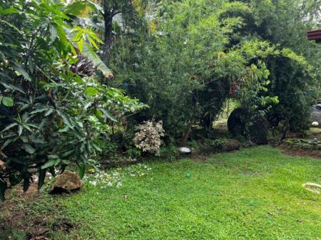 Exterior - 4 Bedrooms 2 Stories Investment Opportunity Sale- Galle