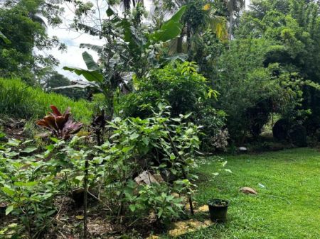 Exterior - 4 Bedrooms 2 Stories Investment Opportunity Sale- Galle