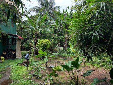 Exterior - 4 Bedrooms 2 Stories Investment Opportunity Sale- Galle