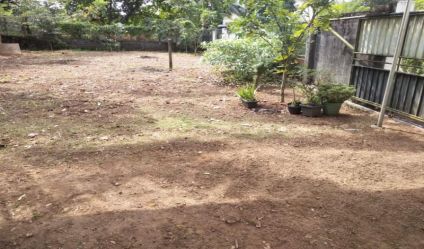 Bare Land
