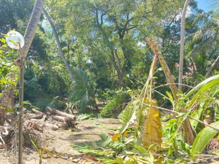 Exterior - House for sale in Lunuwila (SSPH-372)