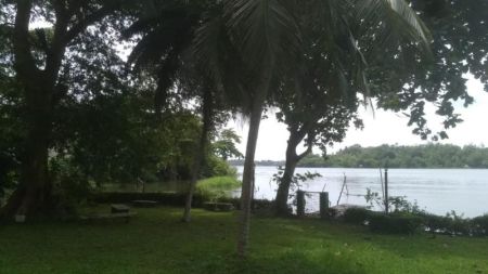 Exterior - Prime Property for Sale - Bolgoda | LKR 1.2 Million Per Perch (EM590)