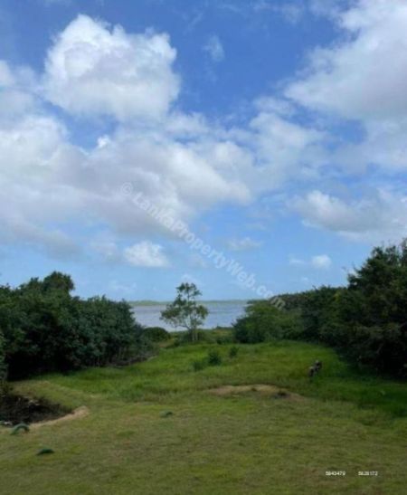 Exterior - Bolgoda - Lakefront Land with Boutique Hotel for Sale | 348 Perches - LKR 95 Million | KO-656