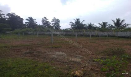 Bare Land