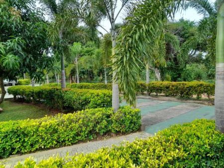 Exterior - Puttalam - Villa for sale (SSPH-374)
