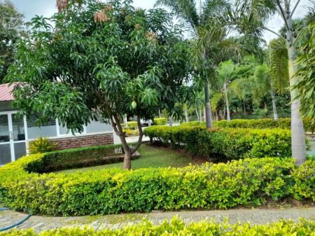 Exterior - Puttalam - Villa for sale (SSPH-374)