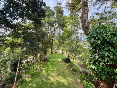 Exterior - Luxury Property for Sale - Kandy | LKR 350,000,000 (EM598)