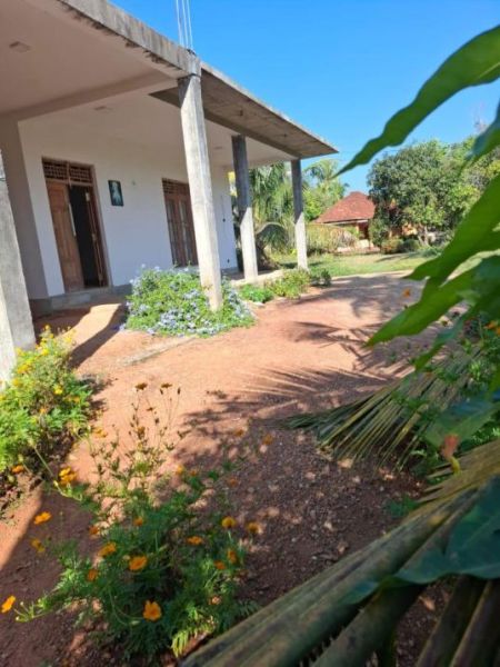 Exterior - House For Sale In Ja-ela (SSPH-317)