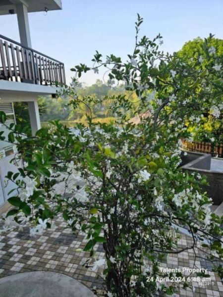 Exterior - URGENT SALE!!! Luxury Waterfront Villa for Sale in Matara | LKR 150 Million | KO-61