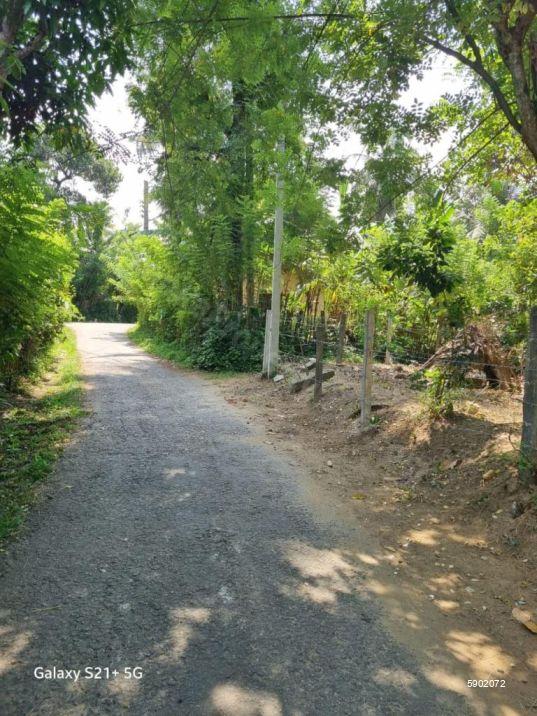 Bare Land for sale in Kundasale