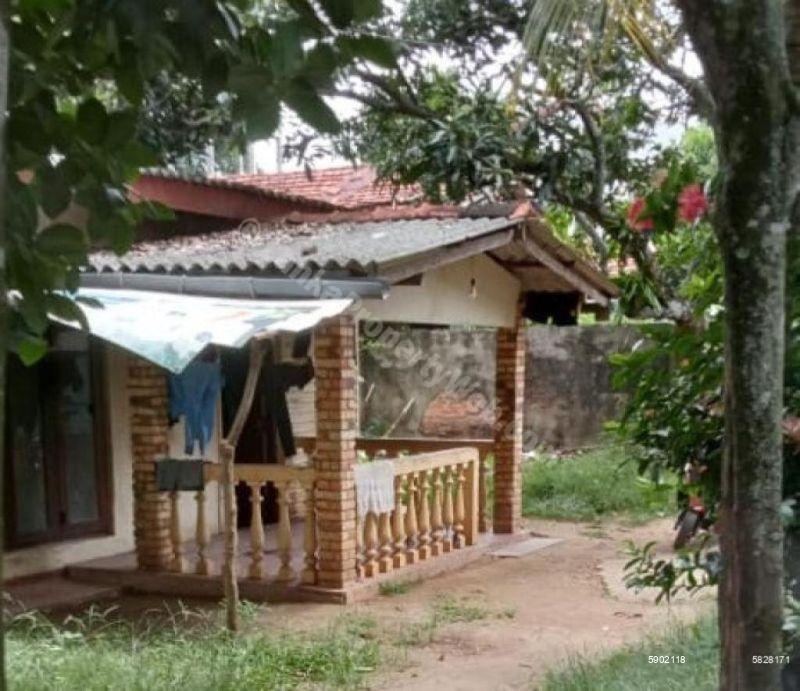Bare Land for sale in Dehiwala