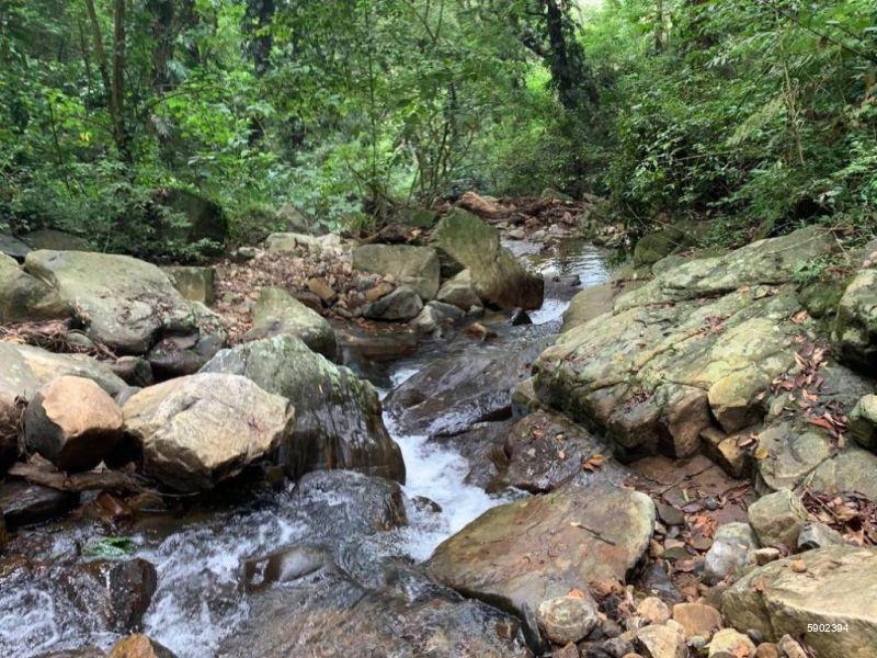 Bare Land for sale in Mandaram Nuwara