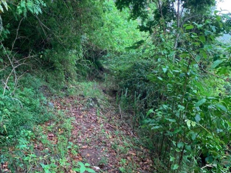 Bare Land for sale in Mandaram Nuwara