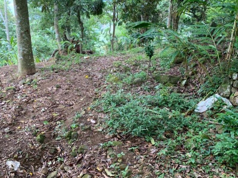 Bare Land for sale in Mandaram Nuwara