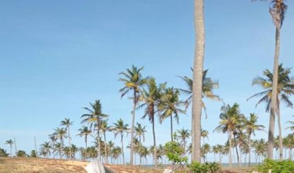 Beachfront land