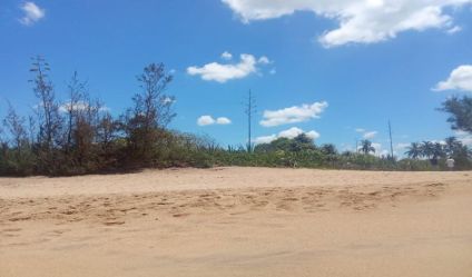 Beachfront land