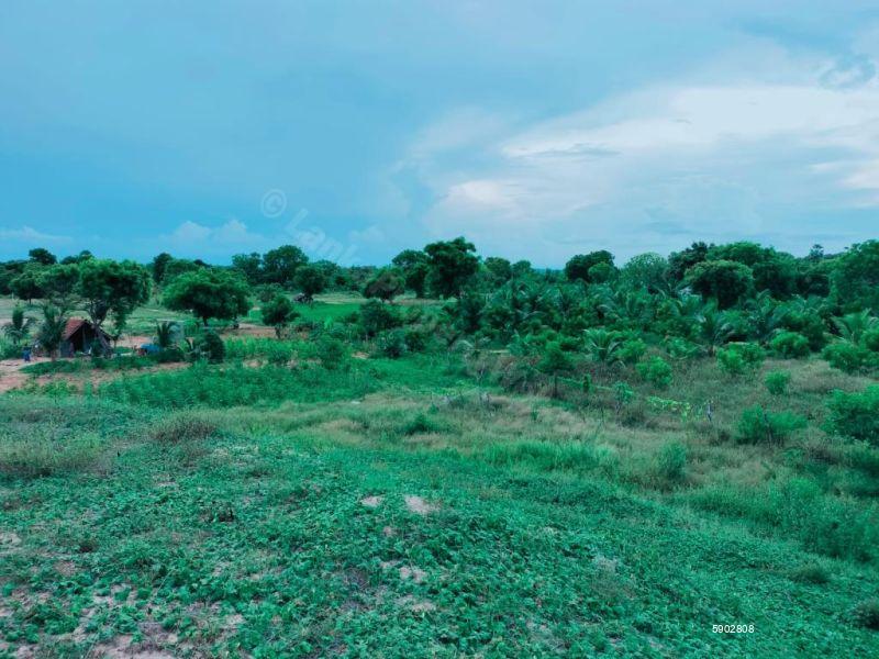 Beachfront land for sale in Komari