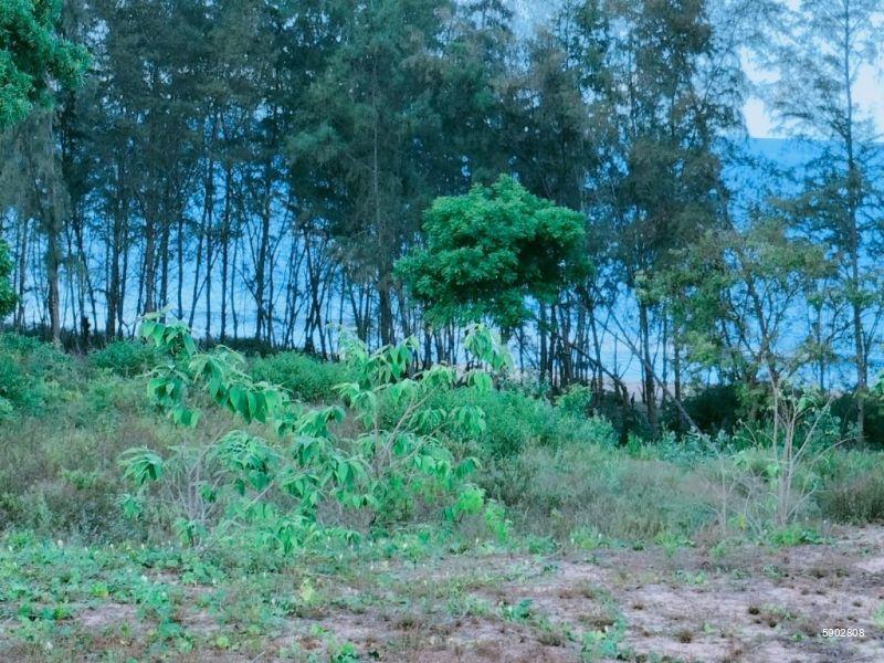 Beachfront land for sale in Komari