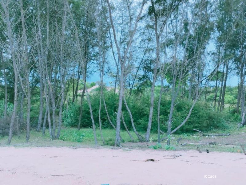 Beachfront land for sale in Komari