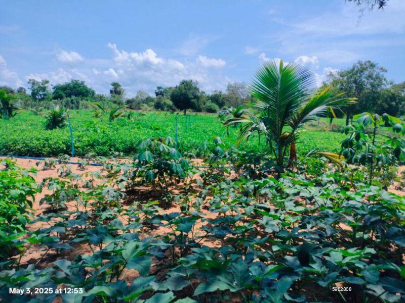 Beachfront land for sale in Komari