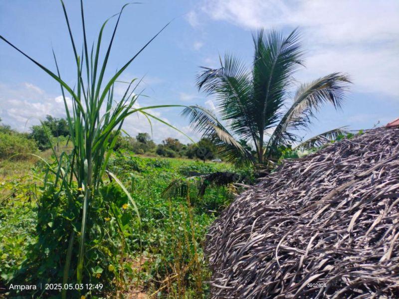Beachfront land for sale in Komari
