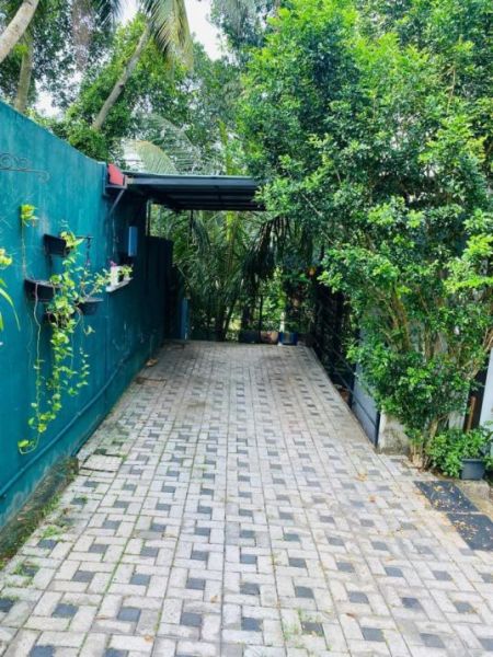 Exterior - Spacious 5BR Fully-Furnished House for Sale in Thalawathugoda
