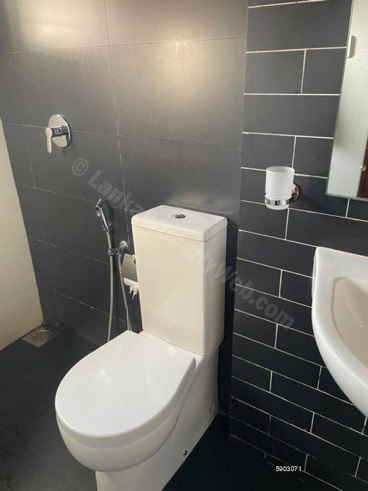 House for rent in Colombo 5
