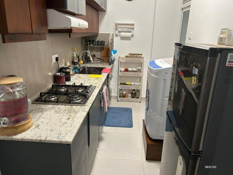 Kitchen - Apartment for rent in Mount Lavinia