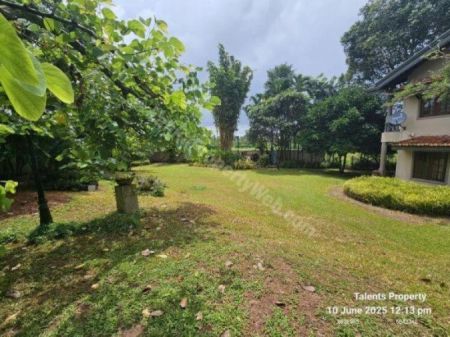 Exterior - Luxury Villa-Type House for Sale in Piliyandala | 92 Perches + Paddy Field | KO-872