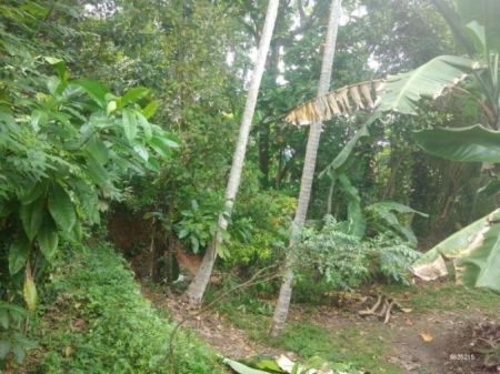 Exterior - Land with Villa for Sale in Thalaramba - Mirissa - Matara | 35 Perches | LKR 49 Million | KO-66