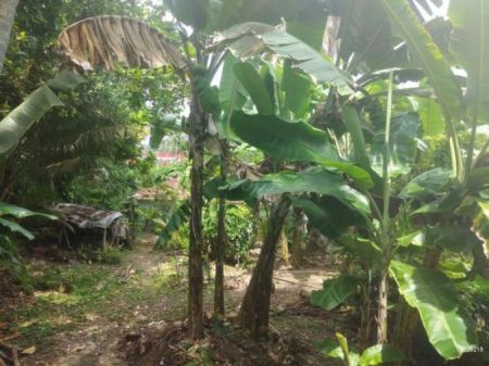 Exterior - Land with Villa for Sale in Thalaramba - Mirissa - Matara | 35 Perches | LKR 49 Million | KO-66