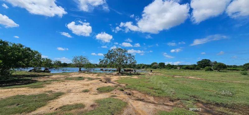 Waterfront land for sale in Yala