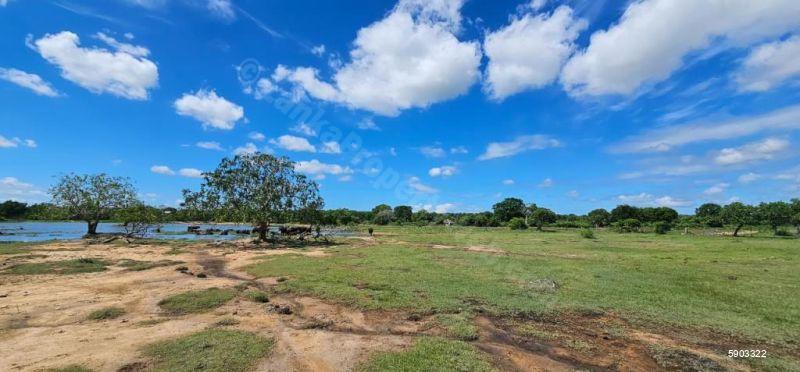 Waterfront land for sale in Yala