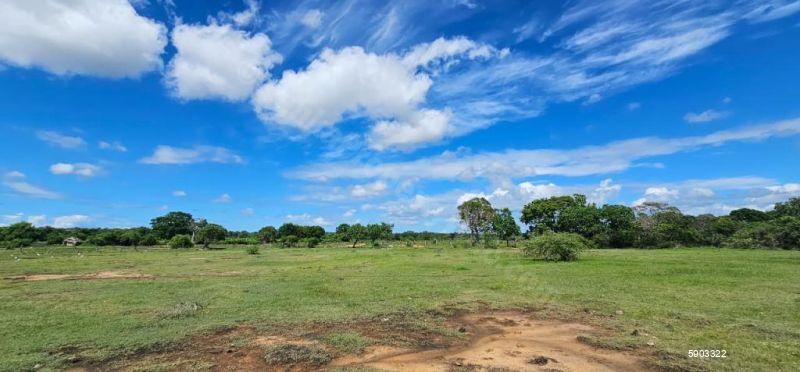 Waterfront land for sale in Yala
