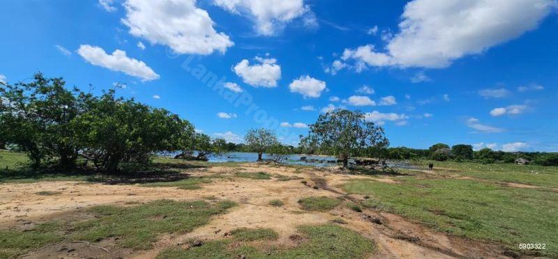 Waterfront land for sale in Yala
