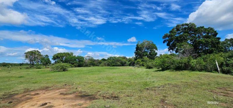 Waterfront land for sale in Yala