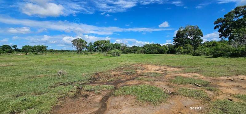 Waterfront land for sale in Yala