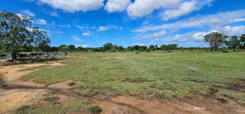 Waterfront land for sale in Yala